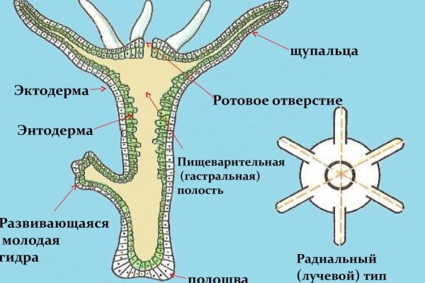 Кракен сайт kr2web in цены
