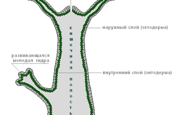 Взломанный аккаунт кракен